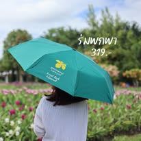 12. Aliexpress dropshipping by oberlo