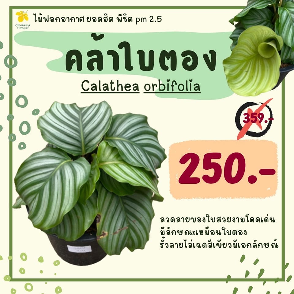 12. Aliexpress dropshipping by oberlo