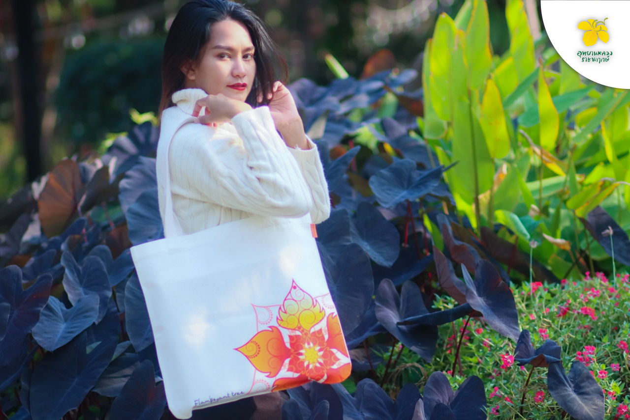 12. Aliexpress dropshipping by oberlo
