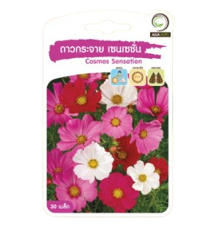 12. Aliexpress dropshipping by oberlo