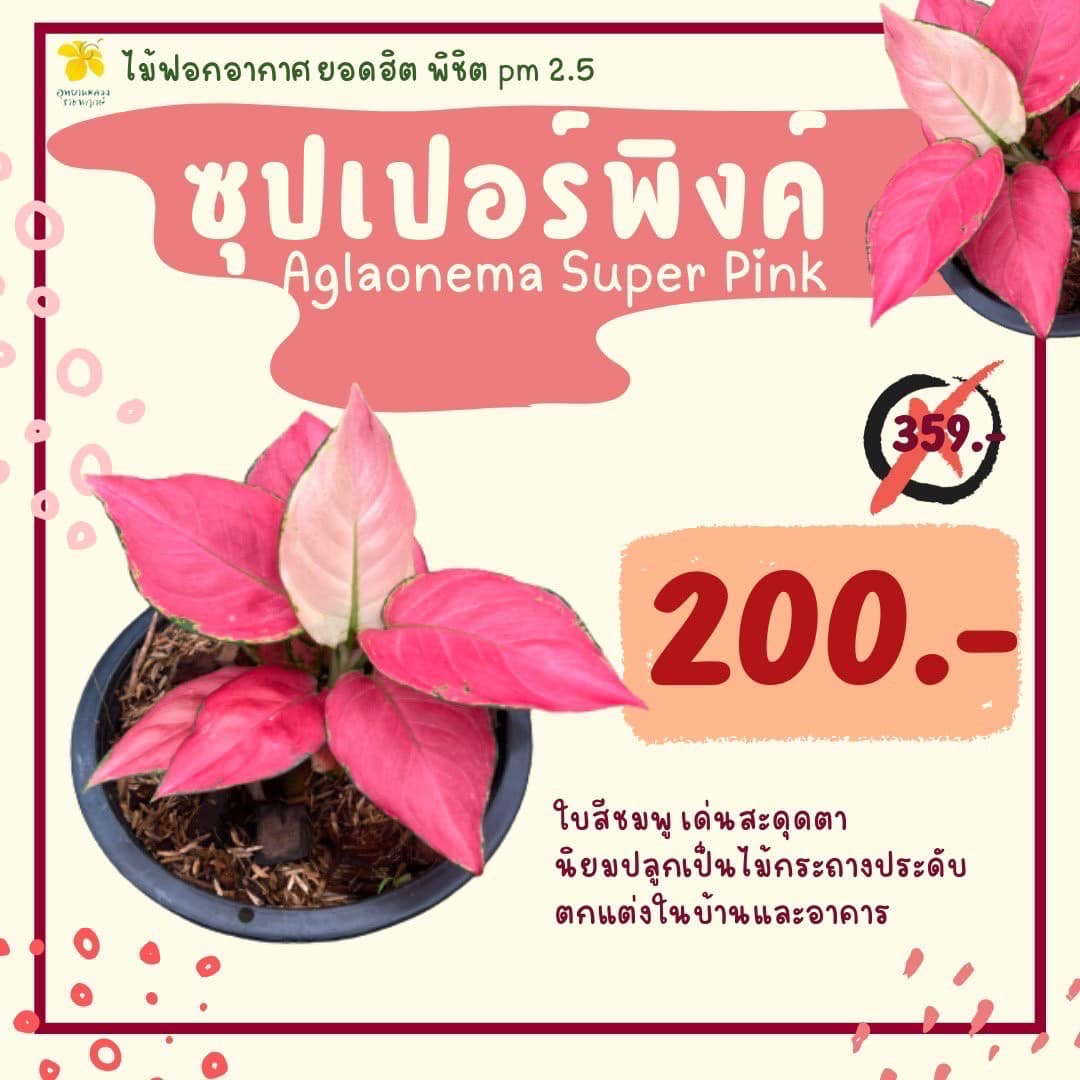 12. Aliexpress dropshipping by oberlo