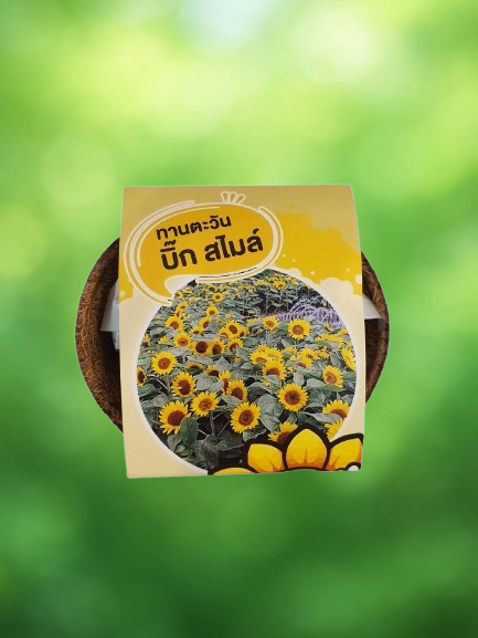 12. Aliexpress dropshipping by oberlo