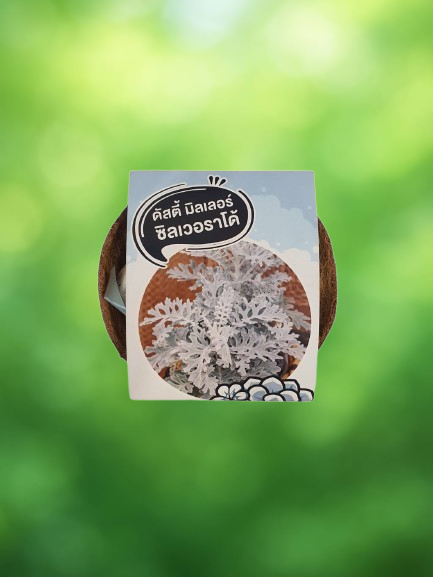 12. Aliexpress dropshipping by oberlo