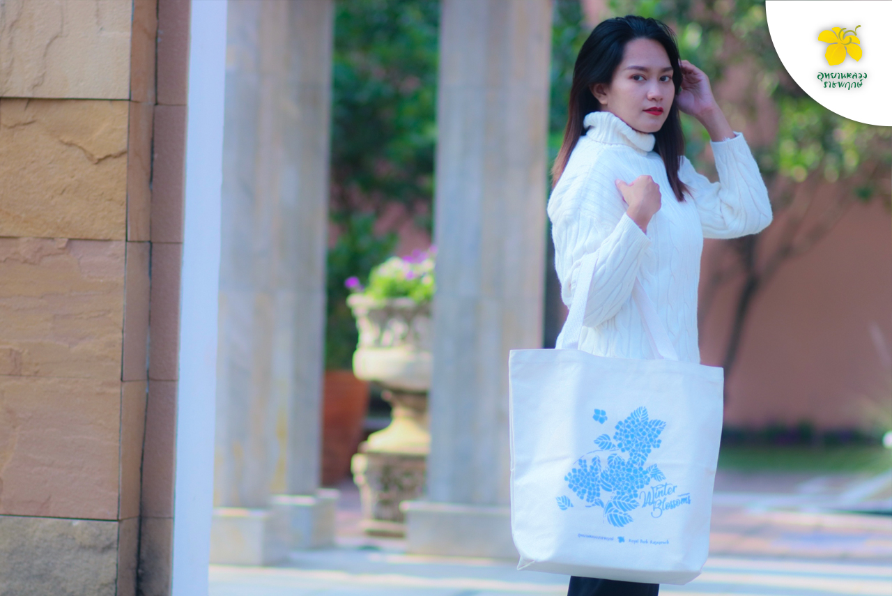 12. Aliexpress dropshipping by oberlo